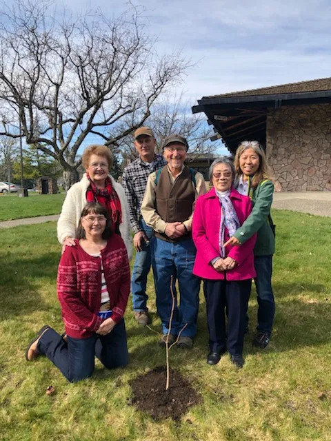 6 people stand/kneel behind the planted Ginkgo sapling in front of a campus building